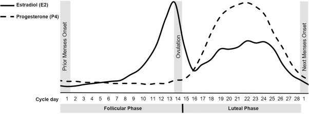 Flow Productivity Model